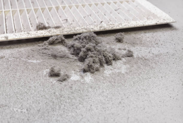 Best Dryer Vent Cleaning Services  in Dripping Springs, TX
